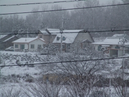 이천 장호원복숭아 마을의 겨울풍경